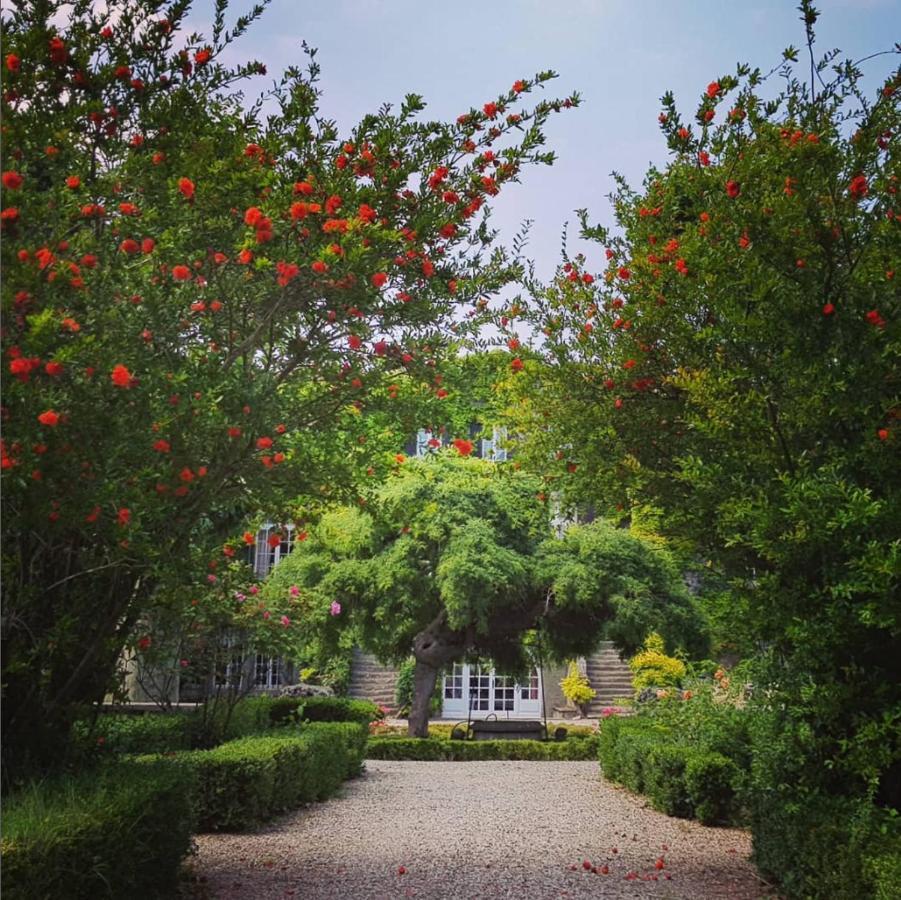 Chateau De Floure - Spa Et Piscine Exterieure Chauffee カルカソンヌ エクステリア 写真